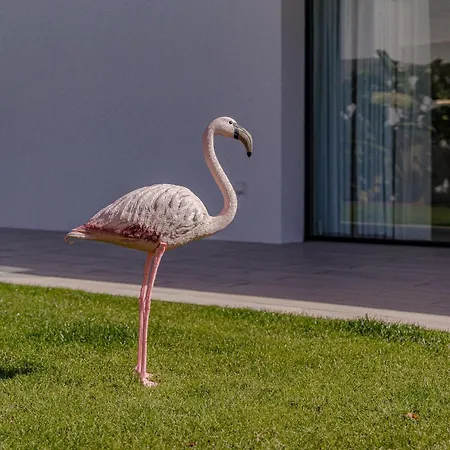 Don Carlos - Adults Only ! דירה פלאייה דה לאס אמריקס